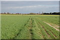 Field path from Mucking Hall