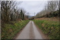 West Somerset : Stone Lane