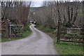 West Somerset : Farm Track