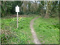 Path on to Ditton Common