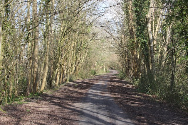 Cuckoo Trail © Oast House Archive :: Geograph Britain and Ireland