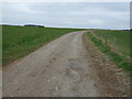 Farm track, Collingthwaite Farm