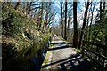 Walking East on the Llangollen Canal