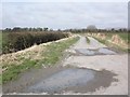 Track, leading north from Pill Road