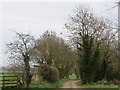 Track (bridleway) at Home Farm