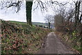 West Somerset : West Howetown Lane