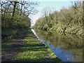 Shropshire Union canal towards Old Lea and Shebdon