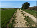 SK8401 : Farm track and permissive footpath by Mat Fascione