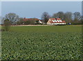 Houses in the village of Ridlington