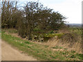 Pillbox near Harolds Park Farm