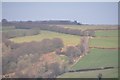 West Somerset : Countryside Scenery