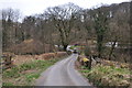 West Somerset : Upcott Lane