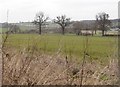 Fields by the M25, Ridge