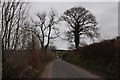 West Somerset : Quarme Lane