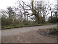 High Canons at the junction with Buckettsland Lane