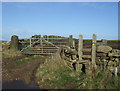 Footpath towards the cliffs