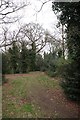 Wooded Path in Wanstead