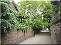 Hascombe Terrace, Camberwell