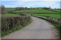 Country road near Pantycolyn Bridge