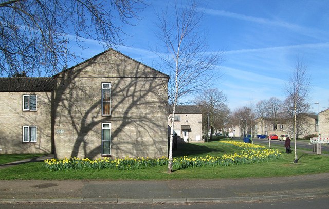 Lichfield Road in early spring