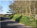 Sharp bend on Shiplate Road