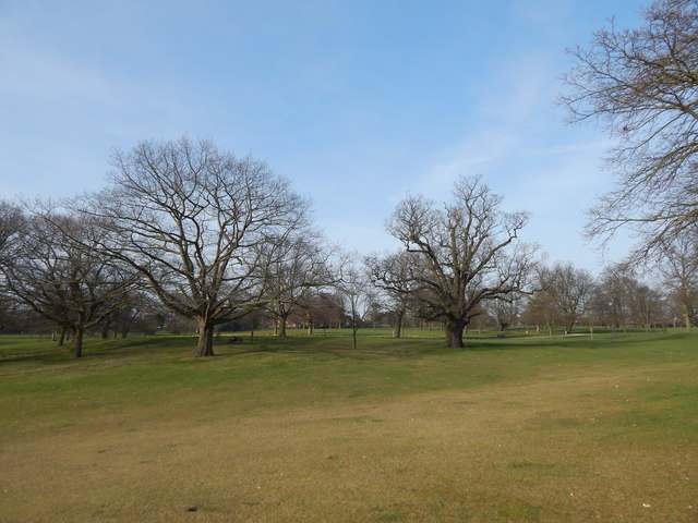 Trees in Christchurch Park