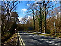 SU8354 : Looking west on Kennels Lane to sharp bend by Shazz