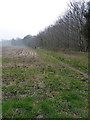 Footpath to Cheneyhill