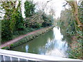 Basingstoke Canal in Church Crookham (1)