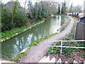 Basingstoke Canal in Church Crookham (2)