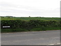 Farmland between Ballynoe Roed and Old Course Road, Downpatrick