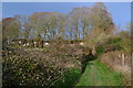 Footpath on edge of Salisbury