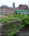 View from Mary Street, Sheffield