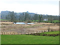 Marshy pond and Buckie Cottage