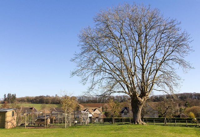 View from footpath through Over Norton