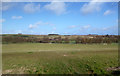 The Kennet Valley above Manton