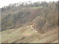 Family out walking along North Downs Way