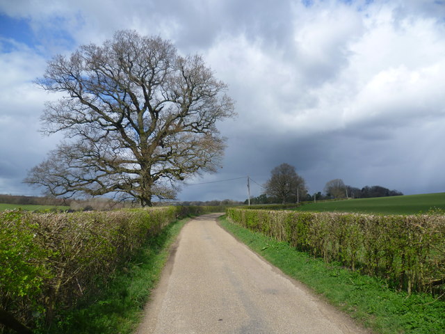 The Wealdway on the way to Withyham