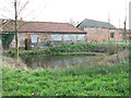 Pond at Lodge Farm