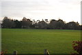 Dumbarton Recreation Ground