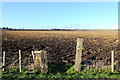 Footpath across field at Langwood