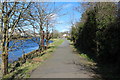 Newton Stewart Local Walks beside the Cree