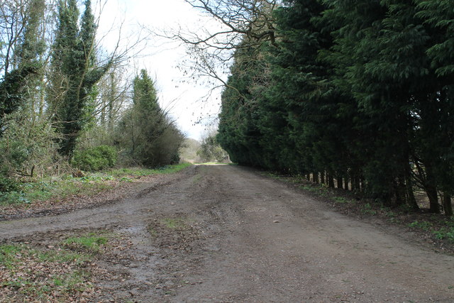 Green Lane (track)