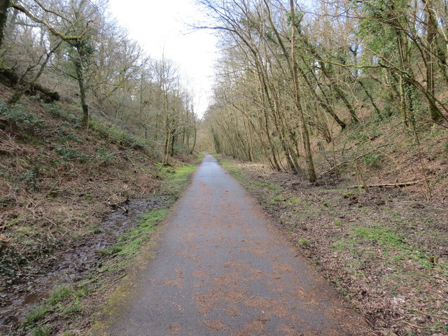 Ffordd Geltaidd / Celtic Trail