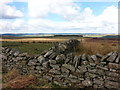 Looking towards Humbleton from the B6305