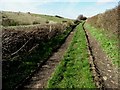 Track north of Bolsover Woodhouse