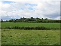 Fields off Edenbane Road