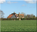 Cottages in Metfield Road