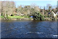 River Cree, Newton Stewart