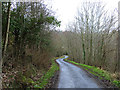 Tweed Horizons Road leading to the Dryburgh footbridge